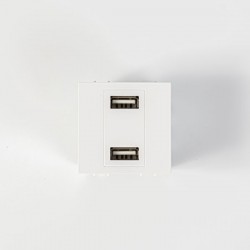 SOCKET 2 MODULES USB CHARGER WHITE 152-20058