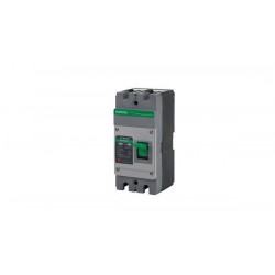 ОСВЕТЛЕНИЕ DC MCCB SM8-250HPV 125A 1000V 2P SUNTREE