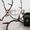 LINE, 100 LED 3mm, 31V ADAPTOR WITH 8 MULTIFUNCTIONS, GREEN WIRE,RED LED PER 5cm, LEAD WIRE 3m, IP44 600-11505