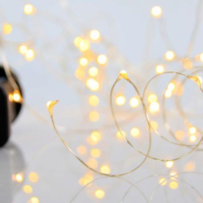 LINE 100 MINI LED, 4.5V ADAPTOR WITH 8 MULTIFUNCTIONS, COPPER COLOR WIRE, DAYLIGHT LED PER 10cm, LEAD WIRE 5m, IP44 600-11741