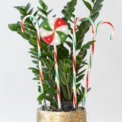 LINE PLASTIC CANDIES, MULTI, 40 WARM WHITE LED, WITH MULTIFUNCTION, SOLAR, 4PCS, PER 50cm,IP44 600-11914