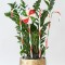 LINE PLASTIC CANDIES, MULTI, 40 WARM WHITE LED, WITH MULTIFUNCTION, SOLAR, 4PCS, PER 50cm,IP44 600-11914
