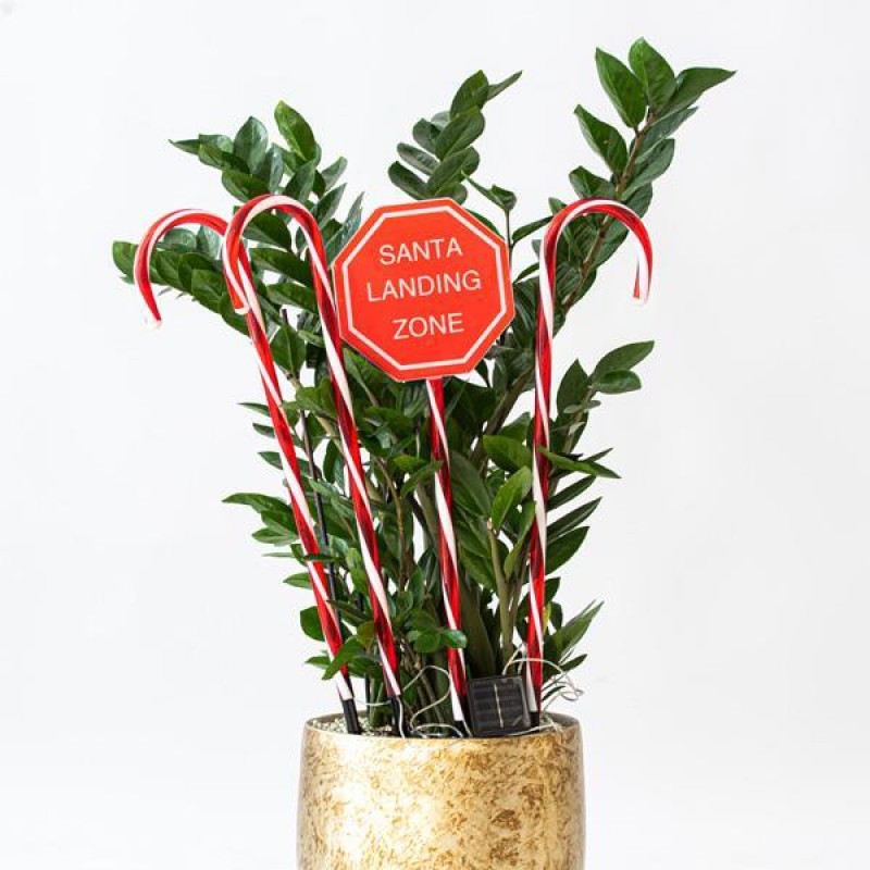 LINE PLASTIC CANDIES, RED, 40 WARM WHITE LED, WITH MULTIFUNCTION, SOLAR, 4PCS, PER 50cm,IP44 600-11915