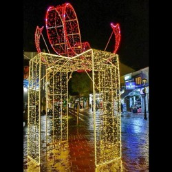 PROFESSIONAL DESIGN, GIFT 3D, WARM WHITE AND RED LED ROPE LIGHT, WARM WHITE AND RED LED, 450x300cm, IP65 600-23444