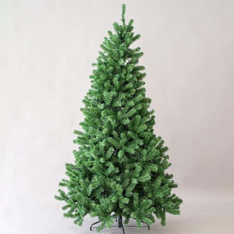 ALABAMA FIR, 210cm 600-30073