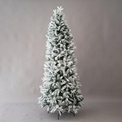 SNOWY JERSEY FIR, 240cm 600-30079