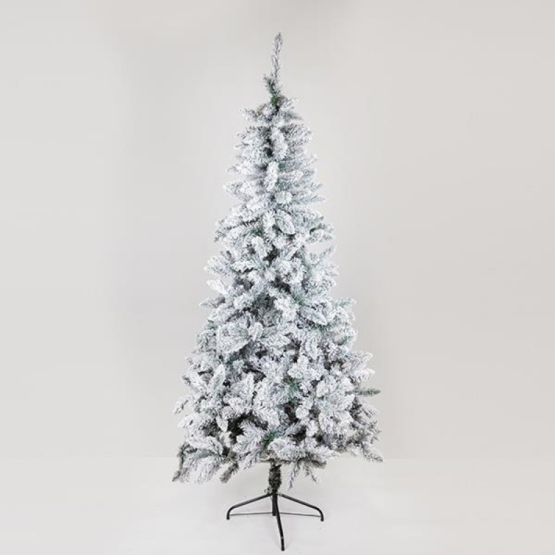 SNOWY FIR, SCOTLAND, 210cm 600-30640