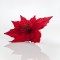 RED POINSETTIA, 23x20cm 600-40654
