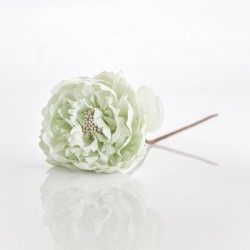 GREEN MINT ROSE, 10x20cm 600-40661