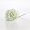 GREEN MINT ROSE, 10x20cm 600-40661
