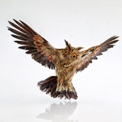 BROWN OWL 48x15x30cm 600-43720