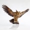 BROWN OWL 48x15x30cm 600-43720