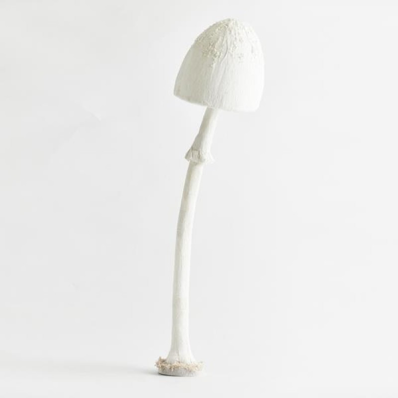 СВЕТЕЩА ГЪБКА БЯЛА С БЯЛО СТЪБЛО