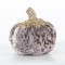 VELVET PUMPKIN, GREY, WITH GOLD GLITTER, 15x12cm 600-44705