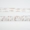 TRANSPARENT RIBBON, WITH TREES, 6,35cm, 10Y 600-44968