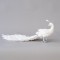 PEACOCK WHITE, WITH GLITTER AND FEATHERS, 59cm 600-45350