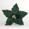 POINSETTIA, GREEN, 27x22cm 600-45382