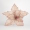 POINSETTIA, IVORY WITH PINK, 27x22cm 600-45384