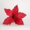 POINSETTIA, RED, 27x22cm 600-45385