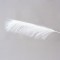 FEATHER, WHITE, 79cm 600-45424
