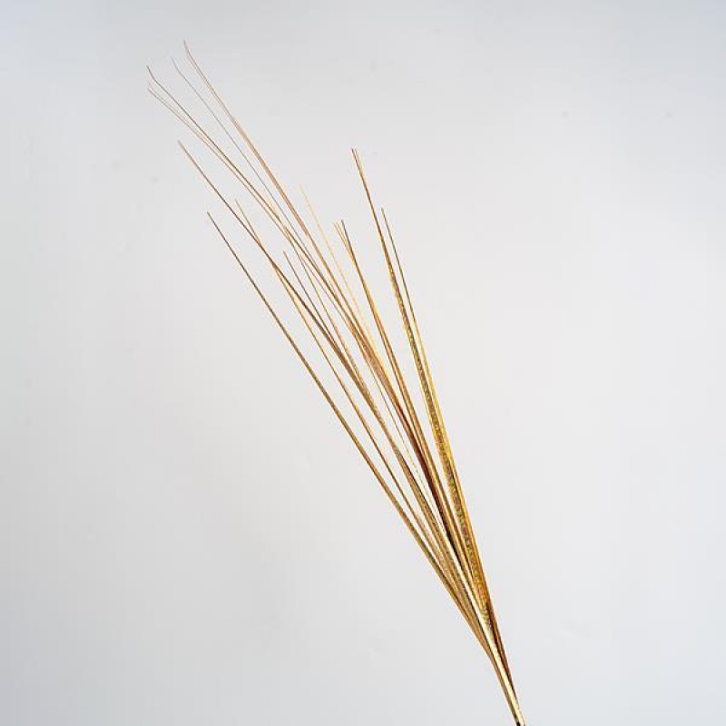 TWIG, METALLIC COLOR GOLD, 80cm 600-45427