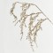 TWIG, WITH GOLD LEAVES WITH GLITTER, 66cm 600-45926