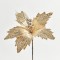 POINSETTIA, CHAMPAGNE, 30cm 600-45945
