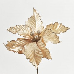POINSETTIA, CHAMPAGNE, 32cm 600-45947