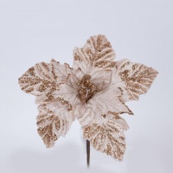 POINSETTIA, CHAMPAGNE WITH WHITE ANTHERS, 22cm 600-46158