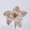 POINSETTIA, CHAMPAGNE WITH WHITE ANTHERS, 22cm 600-46158