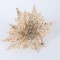 POINSETTIA, CHAMPAGNE, 25cm 600-46235