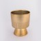 POT,CERAMIC, GOLD, 16x16x18.5cm 752-18046