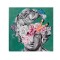 CANVAS PICTURE,  FACE WITH FLOWERS, WHITE & GREEN & GREY, 100x100x3.5cm 755-12229