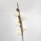 FLOWER/BRANCH, FOAM, CREAM, 107cm 758-12015
