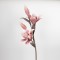 FLOWER/BRANCH, FOAM, PINK-WHITE, 100cm 758-12034