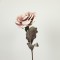 FLOWER/BRANCH, FOAM, DARK PINK-WHITE, 75cm 758-12035
