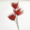 FLOWER/BRANCH, FOAM, RED, 103cm 758-12038