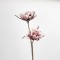 FLOWER/BRANCH, FOAM,PINK-WHITE, 87cm 758-12041