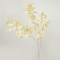 BRANCH, EUCALYPTUS, IVORY, 88cm 758-12048