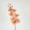FLOWER, ORCHID, GOLD- SALMON,  75cm 758-12107