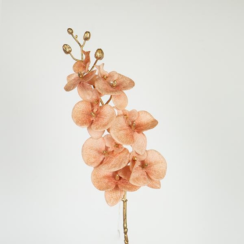 FLOWER, ORCHID, GOLD- SALMON,  75cm 758-12107
