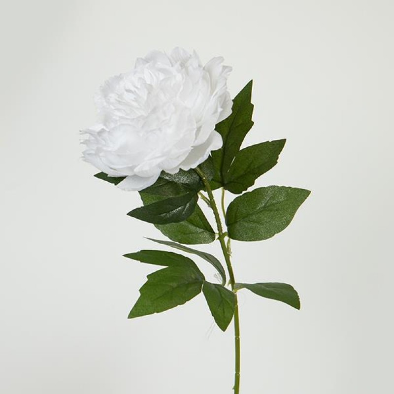 FLOWER, PEONIES, WHITE, 60cm 758-12129