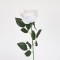 FLOWER, ROSE, WHITE, 60cm 758-12131
