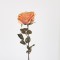 FLOWER ROSE , PEACH  WITH  GLITTER,  65cm 758-12141