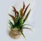 REED IN A GUNNY POT, BROWN-NATURAL, 38cm, 758-14014
