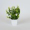 EUCALYPTUS IN A PLASTIC POT, WHITE, 22cm 758-14015