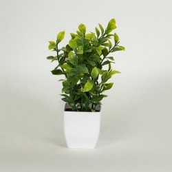 PLANT IN A POT, PLASTIC, 22cm, 758-14016 PLANT IN A POT, PLASTIC, 22cm, 758-14016