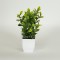 PLANT IN A POT, PLASTIC, 22cm, 758-14016