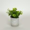PLANT IN A PAPER PULP POT,18cm 758-14017