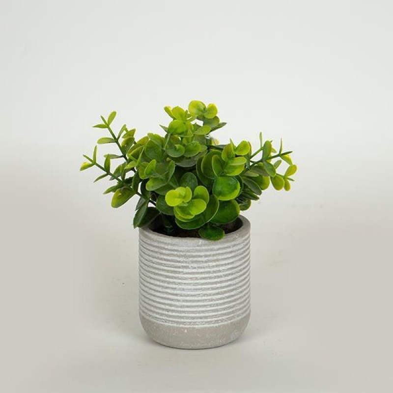 PLANT IN A PAPER PULP POT,18cm 758-14017